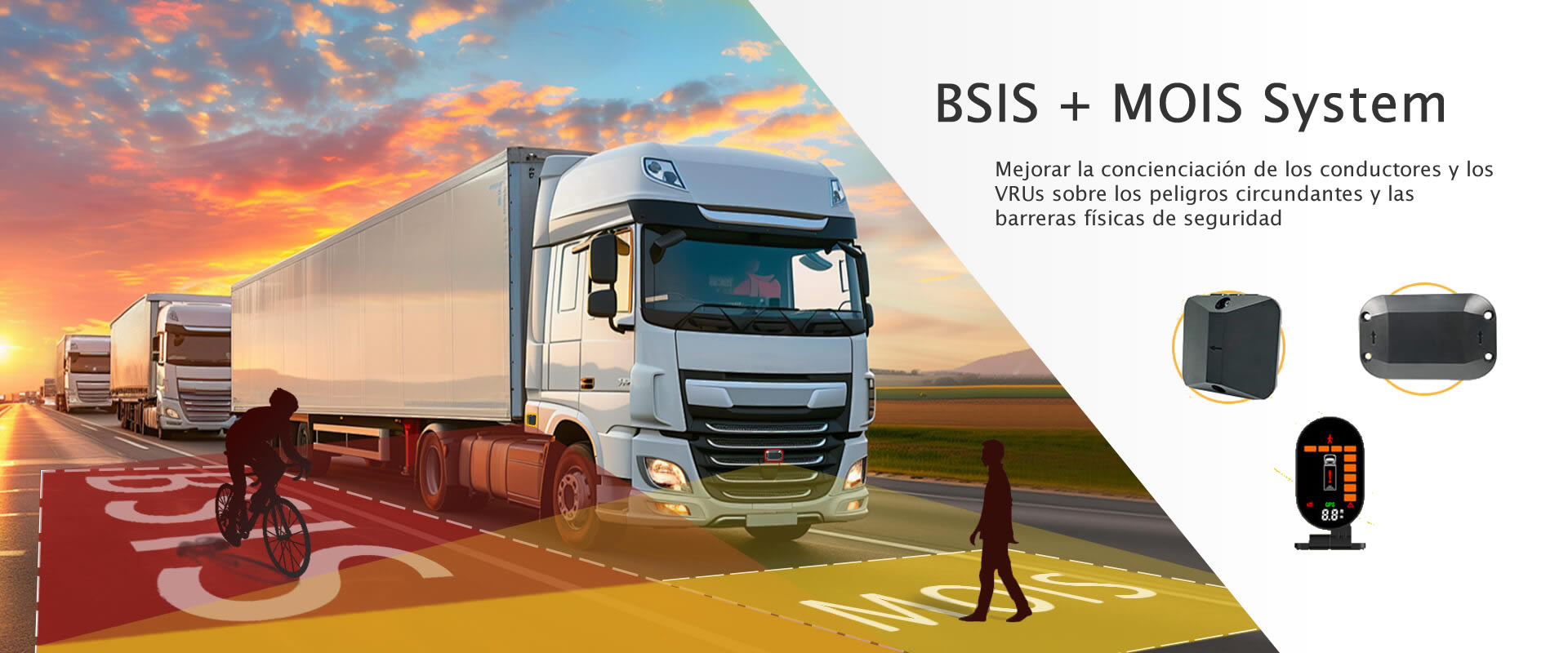 BSIS + MOIS System